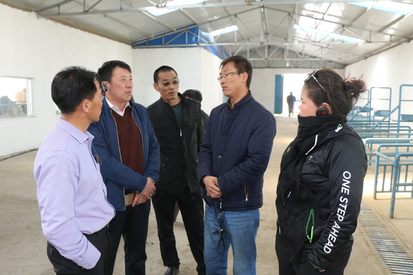 曼德拉苏木旭辉骆驼养殖基地负责人现场讲解训驼技术 曼德拉苏木旭辉骆驼养殖基地负责人现场讲解训驼技术